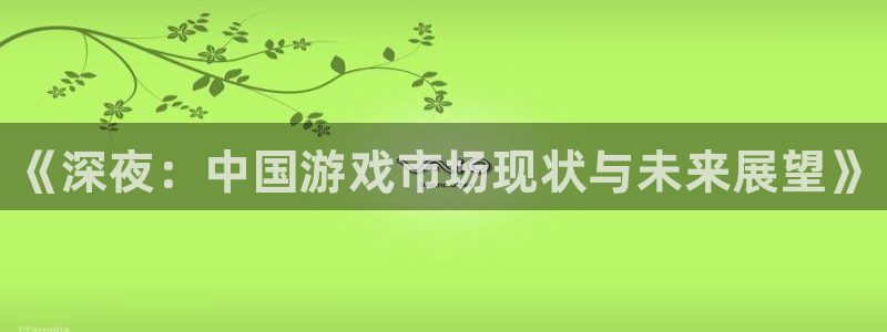 极悦娱乐的意思：《深夜：中国游戏市场现状与未来展望》