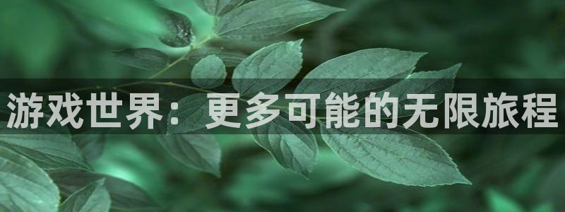 极悦娱乐线路测试：游戏世界：更多可能的无限旅程