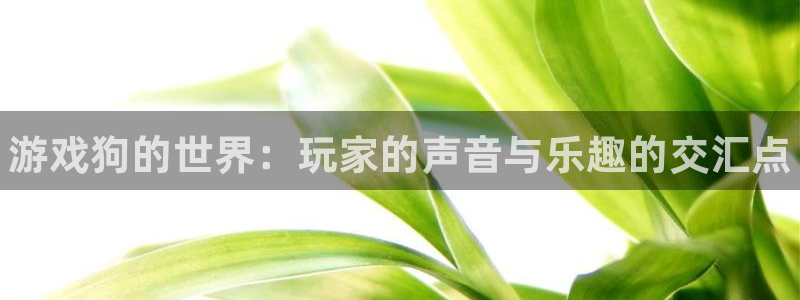 极悦娱乐什么意思
