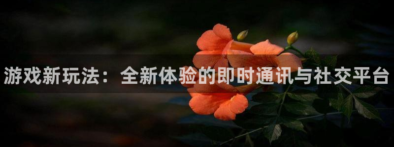 极悦娱乐平台登录线路：游戏新玩法：全新体验的即时通讯与社交平