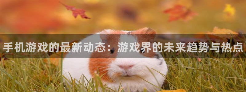 极悦娱乐登录地址：手机游戏的最新动态：游戏界的未来趋势与热点