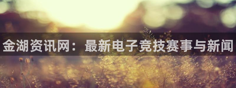 极悦娱乐平台官网入口：金湖资讯网：最新电子竞技赛事与新闻