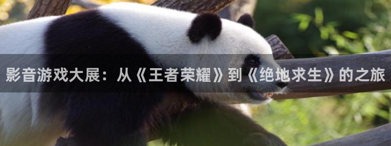 极悦娱乐咨询