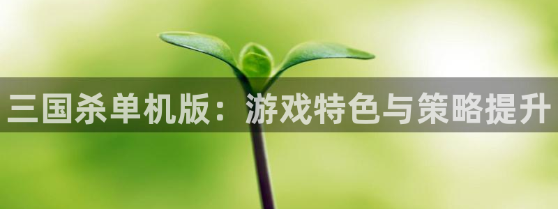 手机版极悦娱乐客户端下载