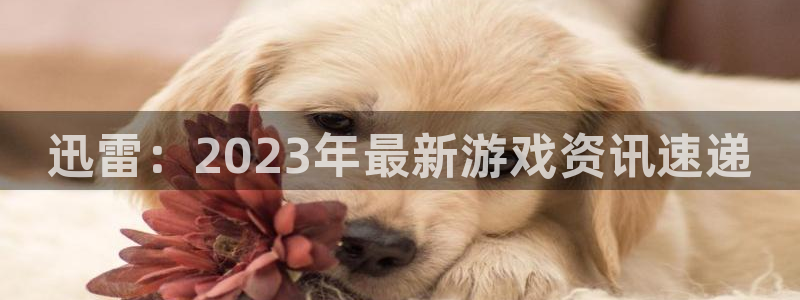 极悦娱乐官网：迅雷：2023年最新游戏资讯速递
