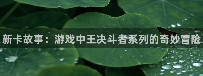 极悦娱乐app：新卡故事：游戏中王决斗者系列的奇妙冒险