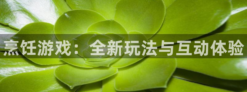 极悦娱乐网页登录入口：烹饪游戏：全新玩法与互动体验