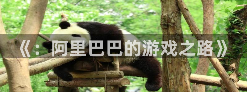 极悦娱乐主管：《：阿里巴巴的游戏之路》