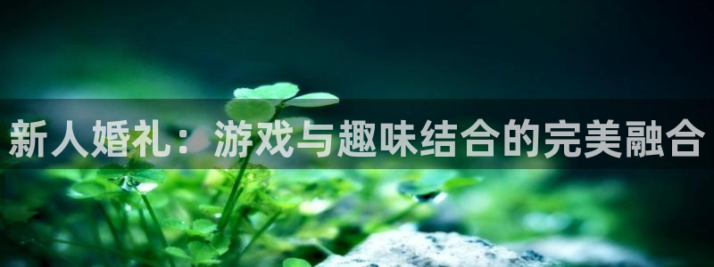 极悦娱乐下载：新人婚礼：游戏与趣味结合的完美融合