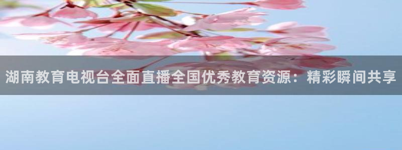 乐球直播在线观看免费高清：湖南教育电视台全面直播全国优秀教育资源：精彩瞬间共享