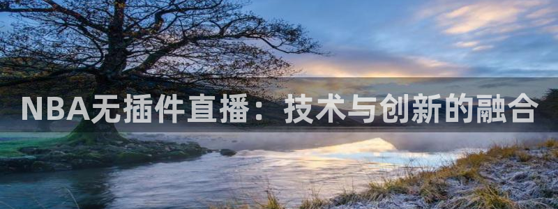 乐球直播leqiu1：NBA无插件直播：技术与创新的融合