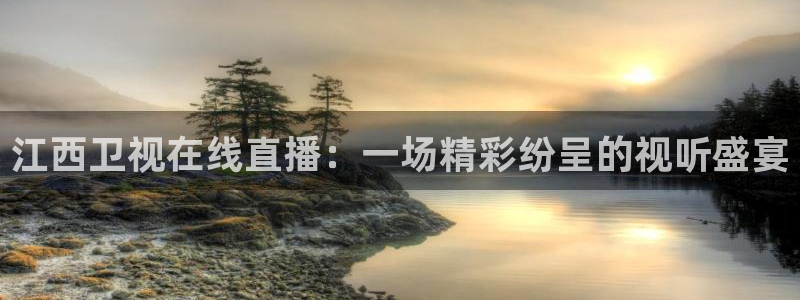 乐球直播nba免费视频：江西卫视在线直播：一场精彩纷呈的视听盛宴